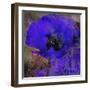 Tea and Dreams-Tina Lavoie-Framed Giclee Print