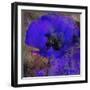 Tea and Dreams-Tina Lavoie-Framed Giclee Print