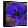 Tea and Dreams-Tina Lavoie-Framed Stretched Canvas