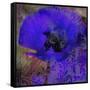 Tea and Dreams-Tina Lavoie-Framed Stretched Canvas