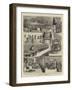 Tea Cultivation in British India-null-Framed Giclee Print