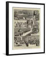 Tea Cultivation in British India-null-Framed Giclee Print