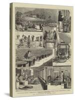 Tea Cultivation in British India-null-Stretched Canvas