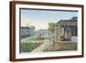 Brown Frame