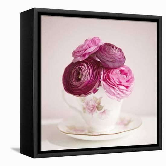 Tea Cup Posies-Susannah Tucker-Framed Stretched Canvas