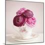 Tea Cup Posies-Susannah Tucker-Mounted Art Print