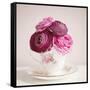 Tea Cup Posies-Susannah Tucker-Framed Stretched Canvas