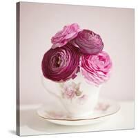 Tea Cup Posies-Susannah Tucker-Stretched Canvas