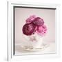 Tea Cup Posies-Susannah Tucker-Framed Art Print