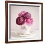 Tea Cup Posies-Susannah Tucker-Framed Art Print