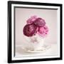 Tea Cup Posies-Susannah Tucker-Framed Art Print