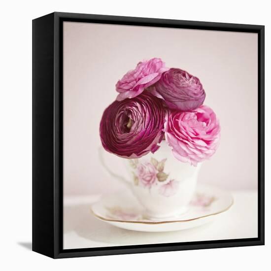 Tea Cup Posies-Susannah Tucker-Framed Stretched Canvas