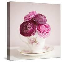 Tea Cup Posies-Susannah Tucker-Stretched Canvas