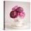 Tea Cup Posies-Susannah Tucker-Stretched Canvas