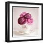 Tea Cup Posies-Susannah Tucker-Framed Art Print