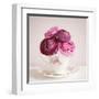 Tea Cup Posies-Susannah Tucker-Framed Art Print