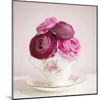 Tea Cup Posies-Susannah Tucker-Mounted Art Print