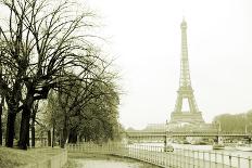 Eiffel Tower and Seine River in Paris-TEA-Photographic Print