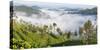 Tea Estate & morning mist, Hapatule, Southern Highlands, Sri Lanka-Peter Adams-Stretched Canvas