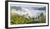 Tea Estate & morning mist, Hapatule, Southern Highlands, Sri Lanka-Peter Adams-Framed Photographic Print