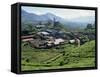 Tea Estate Near Munnar, Kerala State, India-Harding Robert-Framed Stretched Canvas