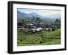 Tea Estate Near Munnar, Kerala State, India-Harding Robert-Framed Photographic Print