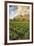 Tea Estate on Mount Mulanje at Sunset, Malawi, Africa-Michael Runkel-Framed Photographic Print