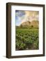 Tea Estate on Mount Mulanje at Sunset, Malawi, Africa-Michael Runkel-Framed Photographic Print