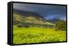 Tea Estate on Mount Mulanje, Malawi, Africa-Michael Runkel-Framed Stretched Canvas