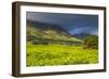 Tea Estate on Mount Mulanje, Malawi, Africa-Michael Runkel-Framed Photographic Print