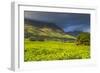 Tea Estate on Mount Mulanje, Malawi, Africa-Michael Runkel-Framed Photographic Print