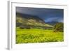 Tea Estate on Mount Mulanje, Malawi, Africa-Michael Runkel-Framed Photographic Print