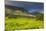 Tea Estate on Mount Mulanje, Malawi, Africa-Michael Runkel-Mounted Photographic Print