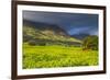 Tea Estate on Mount Mulanje, Malawi, Africa-Michael Runkel-Framed Photographic Print