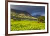 Tea Estate on Mount Mulanje, Malawi, Africa-Michael Runkel-Framed Photographic Print