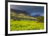 Tea Estate on Mount Mulanje, Malawi, Africa-Michael Runkel-Framed Photographic Print