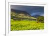 Tea Estate on Mount Mulanje, Malawi, Africa-Michael Runkel-Framed Photographic Print