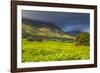 Tea Estate on Mount Mulanje, Malawi, Africa-Michael Runkel-Framed Photographic Print