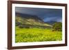 Tea Estate on Mount Mulanje, Malawi, Africa-Michael Runkel-Framed Photographic Print