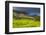 Tea Estate on Mount Mulanje, Malawi, Africa-Michael Runkel-Framed Photographic Print