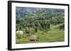 Tea Fields in Rize, Black Sea Region of Turkey-Ali Kabas-Framed Photographic Print