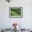 Tea Fields, Nuwara Eliya, Sri Lanka-Steve Vidler-Framed Photographic Print displayed on a wall