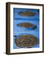 Tea for Sale in Market, Darjeeling, West Bengal, India-Jane Sweeney-Framed Photographic Print
