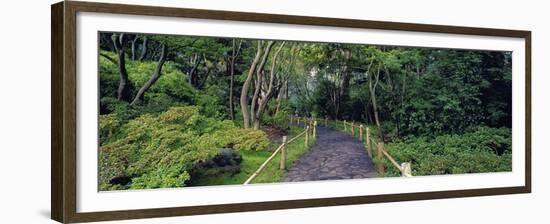 Tea Garden Walkway, San Francisco Botanical Gardens-Richard Berenholtz-Framed Art Print