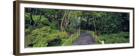 Tea Garden Walkway, San Francisco Botanical Gardens-Richard Berenholtz-Framed Art Print