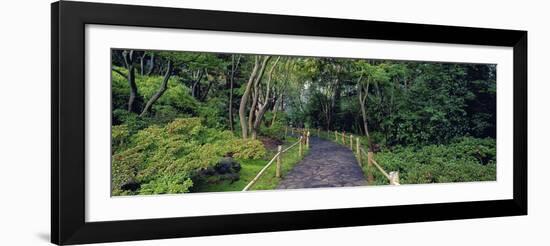 Tea Garden Walkway, San Francisco Botanical Gardens-Richard Berenholtz-Framed Art Print