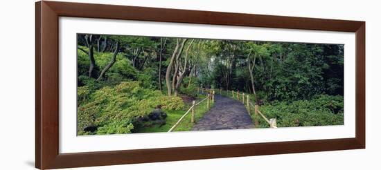 Tea Garden Walkway, San Francisco Botanical Gardens-Richard Berenholtz-Framed Art Print