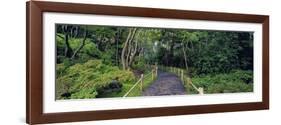 Tea Garden Walkway, San Francisco Botanical Gardens-Richard Berenholtz-Framed Art Print