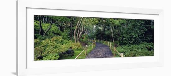 Tea Garden Walkway, San Francisco Botanical Gardens-Richard Berenholtz-Framed Art Print