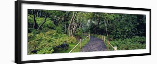 Tea Garden Walkway, San Francisco Botanical Gardens-Richard Berenholtz-Framed Art Print